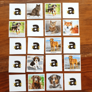 Gioco di carte di memoria per cani e gatti