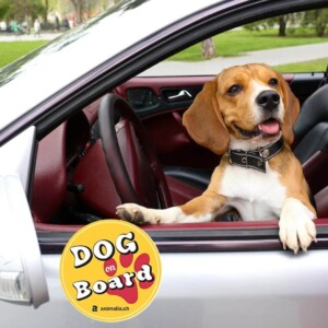 Autocollant de voiture chien à bord