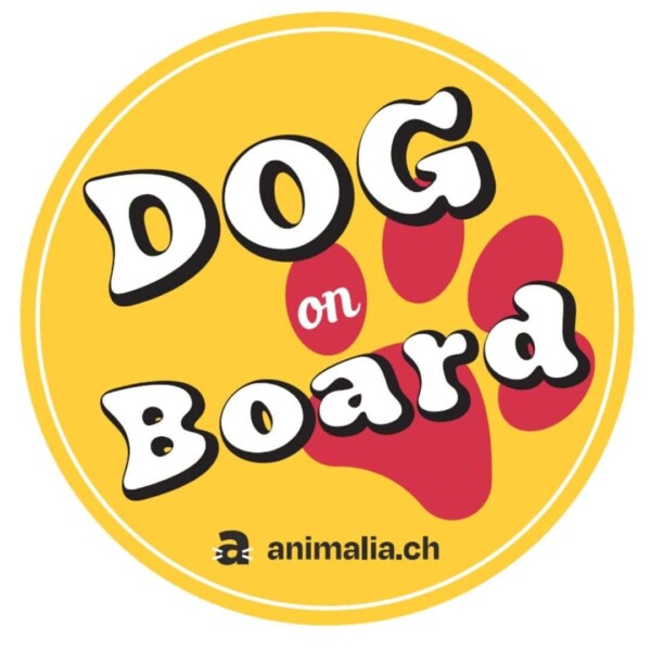 Adesivo per auto «Dog on Board»