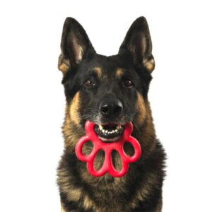 Spielzeug und Handgriff für Hundeleine